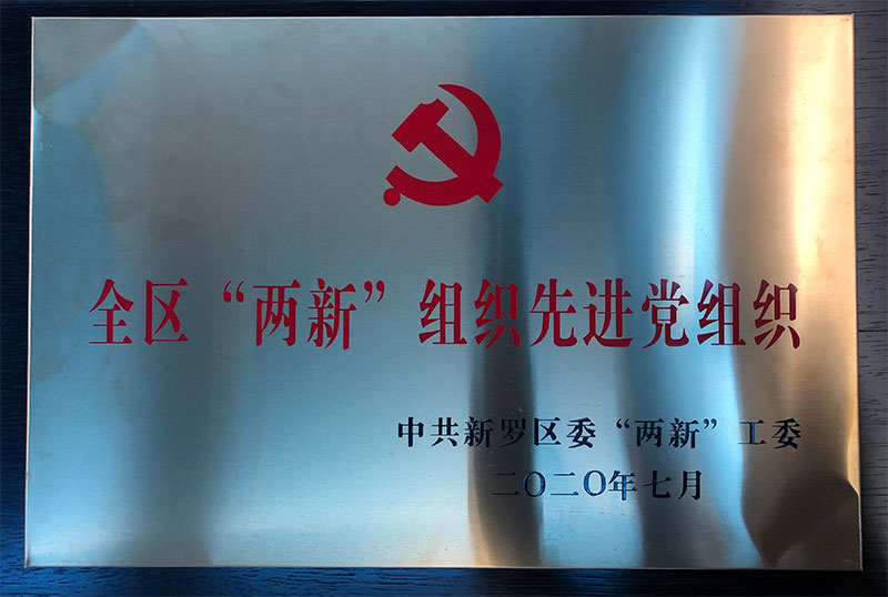 全區(qū)“兩新”組織先進黨組織.jpg